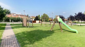 IMG_7463